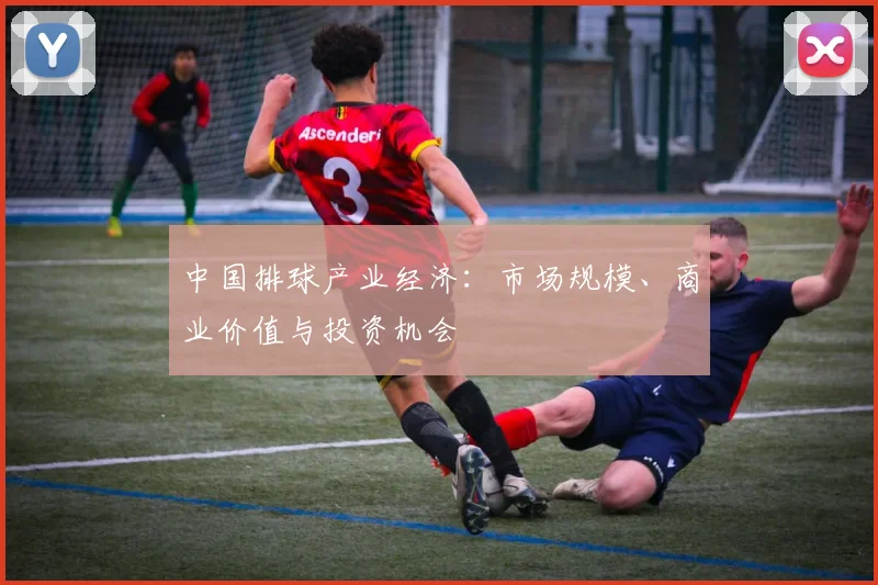中国排球产业经济：市场规模、商业价值与投资机会